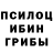 Псилоцибиновые грибы Magic Shrooms Soumia Bouayadane
