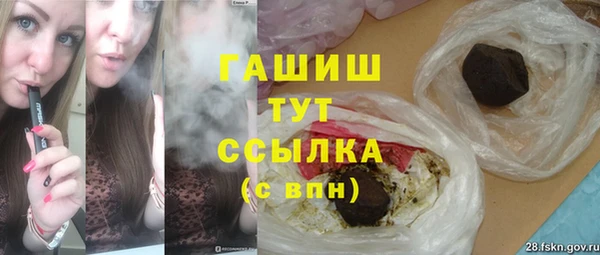 индика Ельня