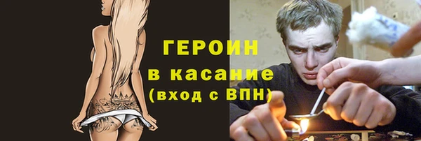 индика Ельня