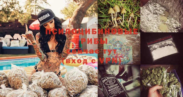 mdpv Елизово