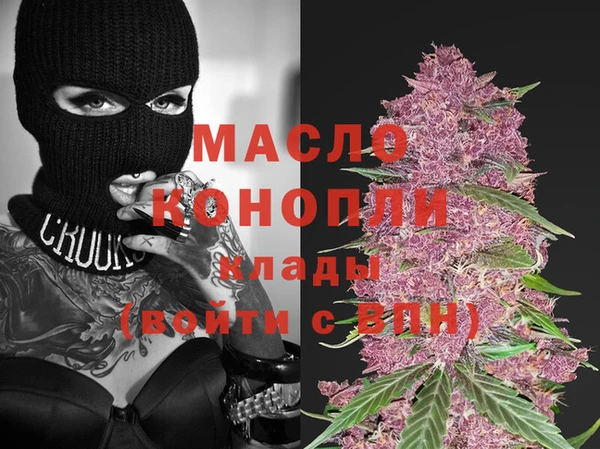 индика Ельня