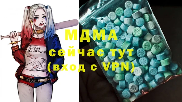 индика Ельня