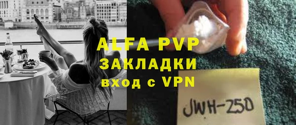 индика Ельня