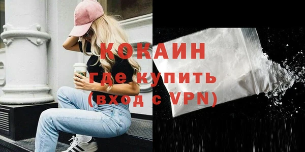 индика Ельня